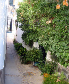 Calle de C�staras en La Alpujarra de Granada
