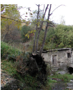 Senderos de  Los B�rchules en La Alpujarra de Granada