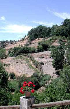 Naturaleza de Busqu�star en La Alpujarra de Granada