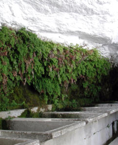 Lavadero de P�rtugos en La Alpujarra de Granada