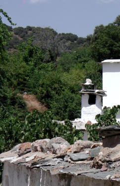 Naturaleza de Juviles en La Alpujarra de Granada