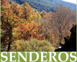 SENDEROS