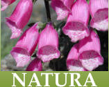 NATURA